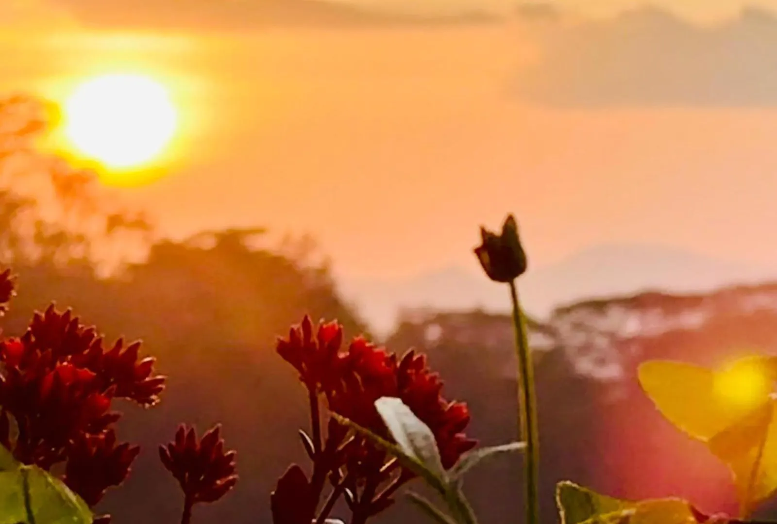 Pekoetrails Hantana Homestay Kandy