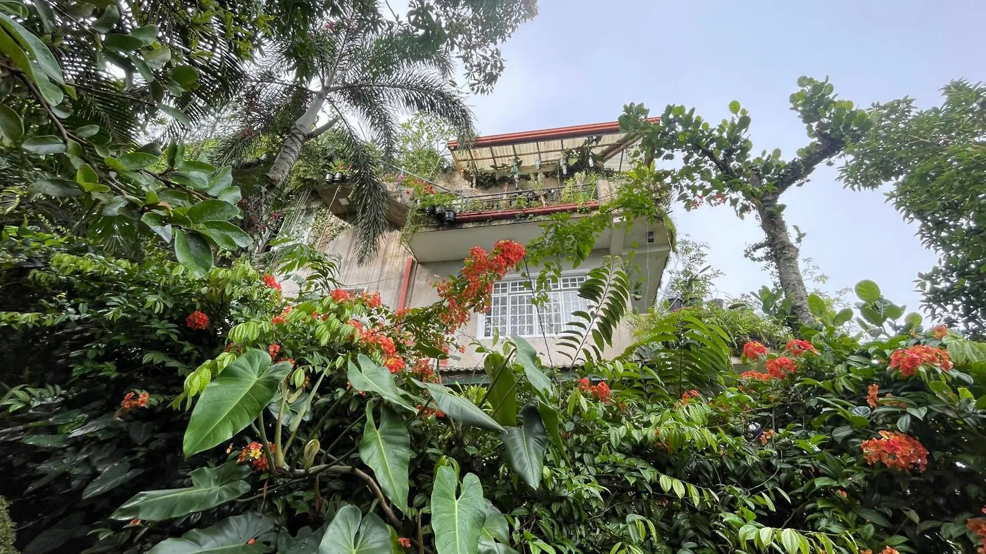 Pekoetrails Hantana Homestay Kandy 0*,