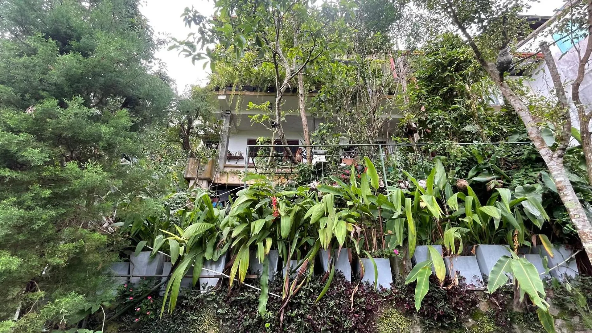 Pekoetrails Hantana Homestay Kandy