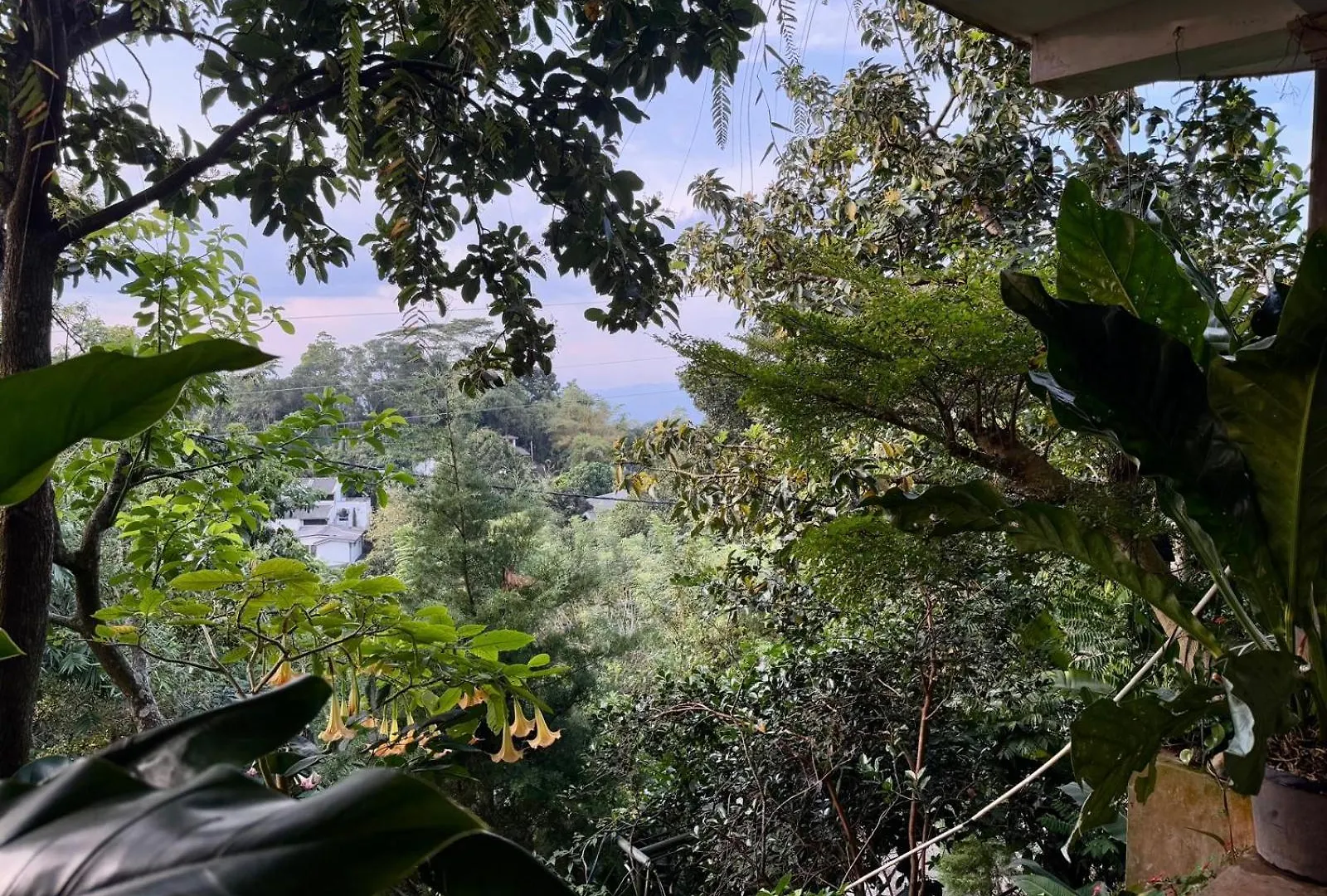 Pekoetrails Hantana Homestay Kandy 0*,  Sri Lanka