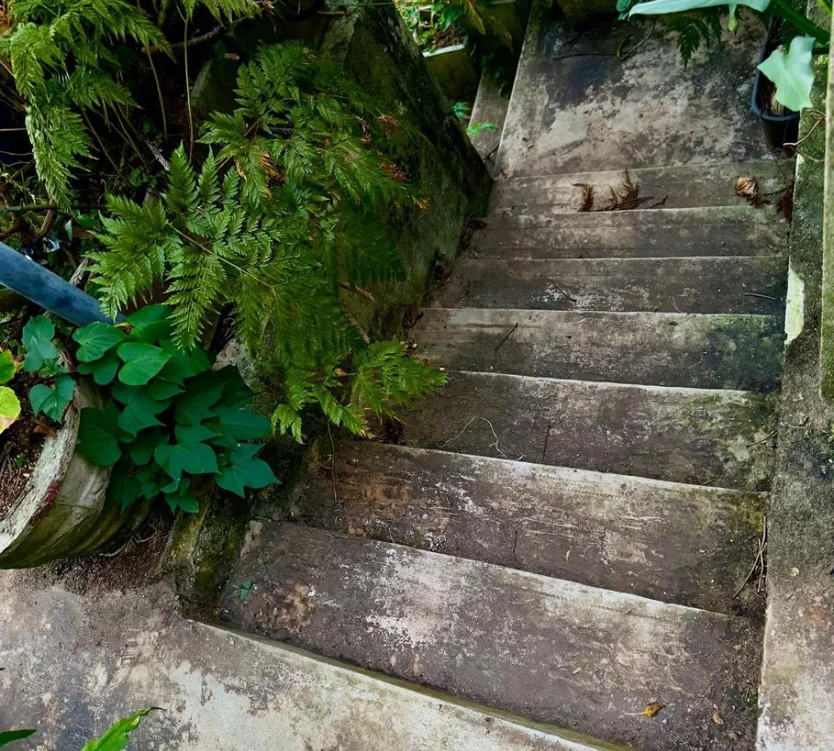 Pekoetrails Hantana Homestay Kandy