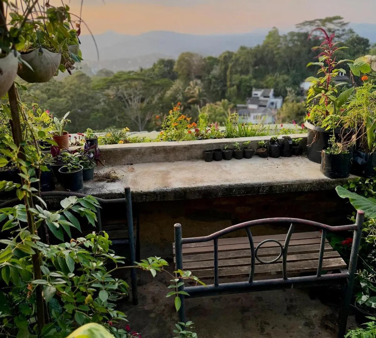Pekoetrails Hantana Homestay Kandy Sri Lanka