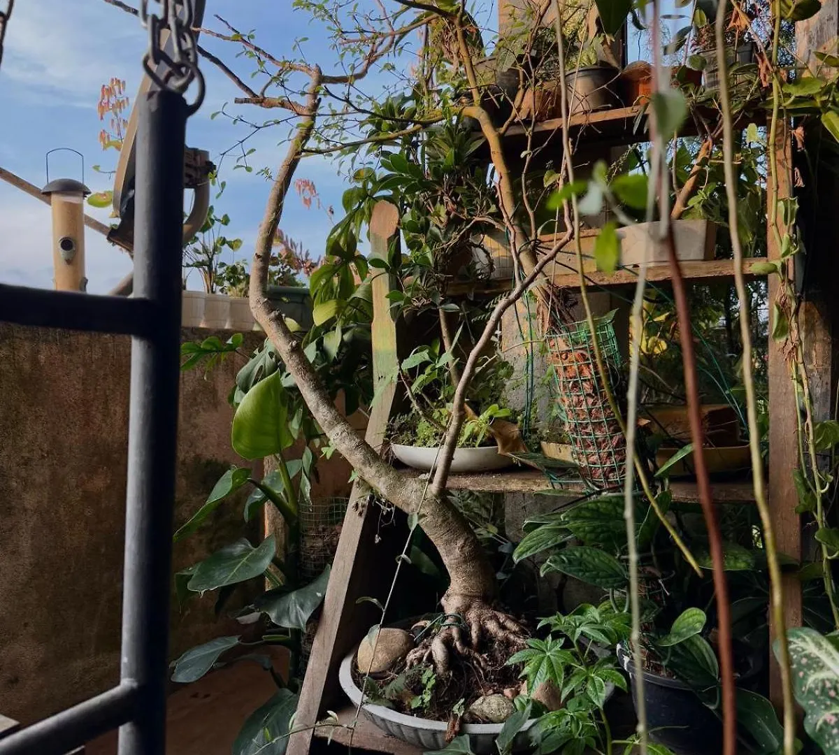 Pekoetrails Hantana Homestay Kandy