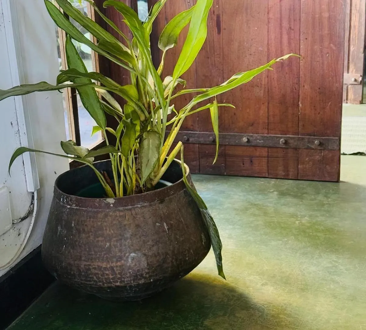 Pekoetrails Hantana Homestay Kandy