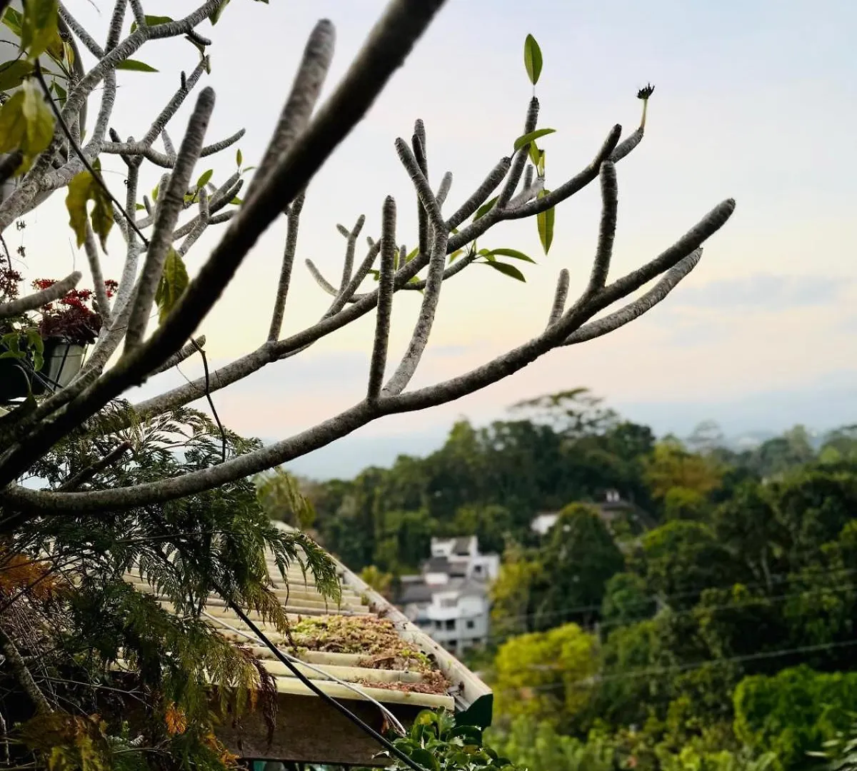Pekoetrails Hantana Homestay Kandy 0*,