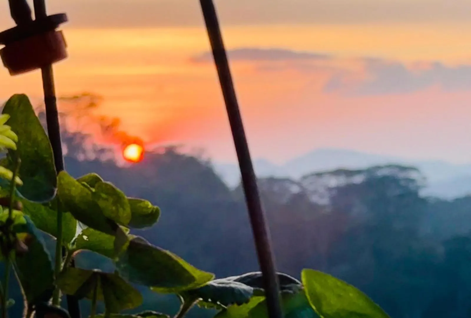 Pekoetrails Hantana Homestay Kandy