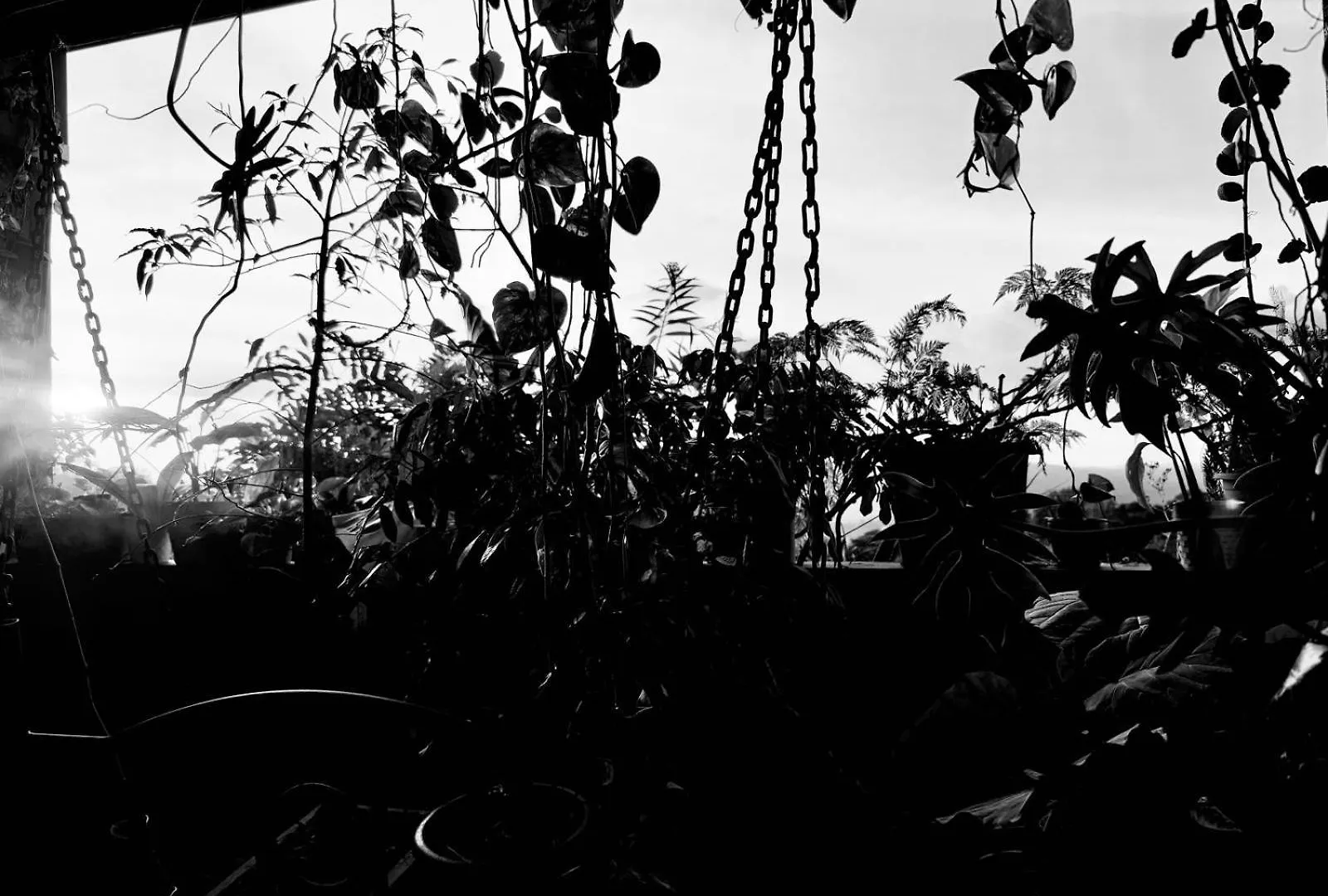 Pekoetrails Hantana Homestay Kandy Sri Lanka
